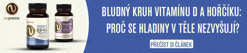 decko-clanek-970x210